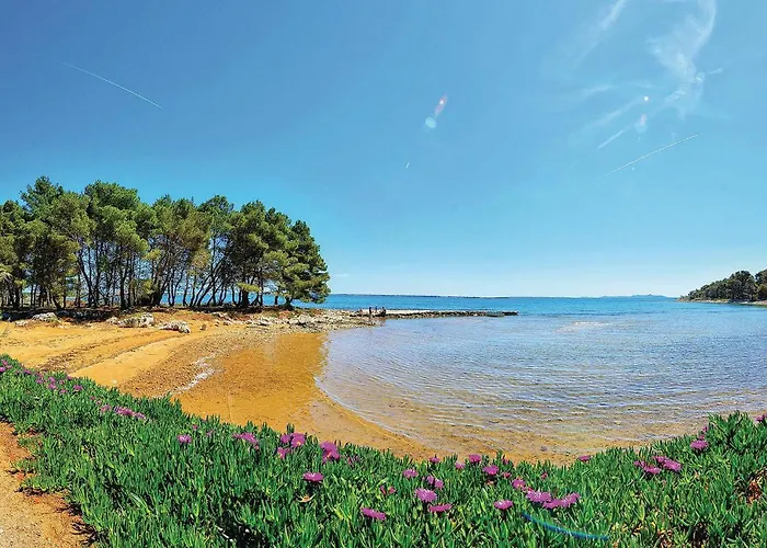 1 Bedroom In Lejlighed *